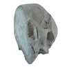 Cement Garden Pottery Pot Skull