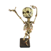 Danse Macabre Human Fetal Skeleton Oddity