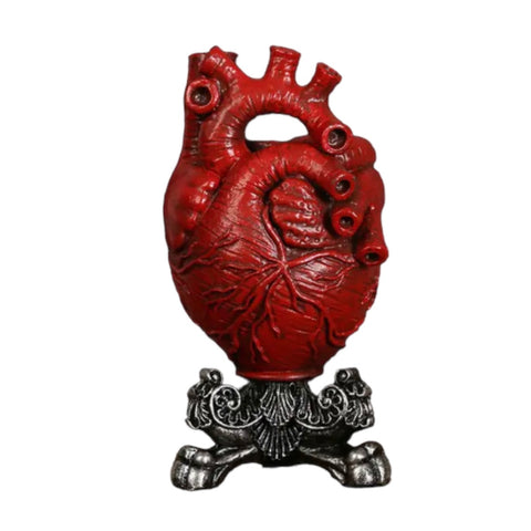 Dry Anatomical Heart Vase