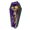 Conjoined Siamese Twin Skeleton in Coffin