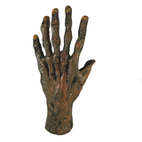 Bizarre! 6 Finger Mummy Hand