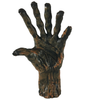 Bizarre! 6 Finger Mummy Hand Jar