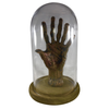 Bizarre! 6 Finger Mummy Hand Jar