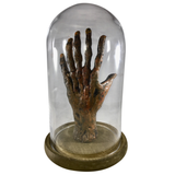 Bizarre! 6 Finger Mummy Hand Jar