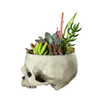 Resin Skull w/ Colorful Succulents